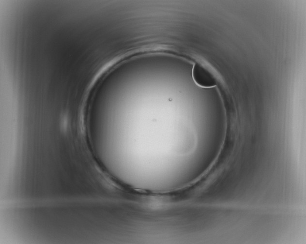 X0000115560789200911061552