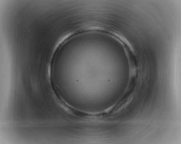 X0000115560790200911061552