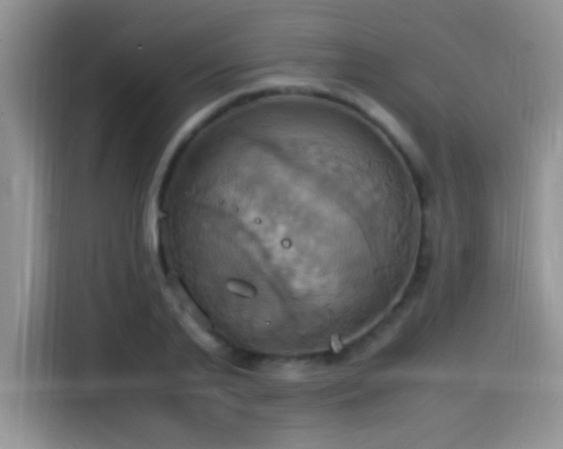 X0000115560791200911061552