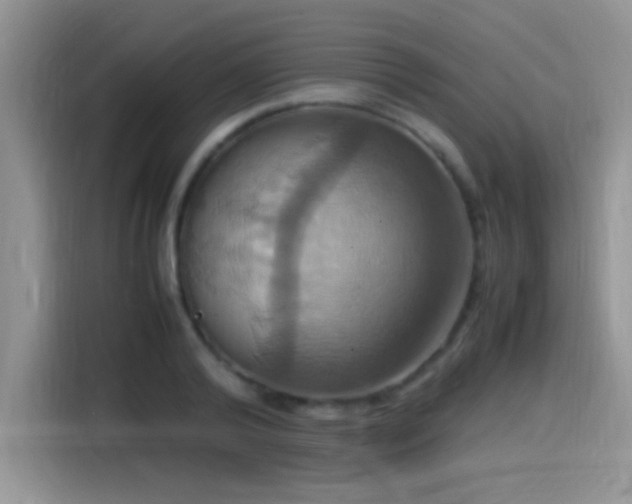 X0000115560792200911061552