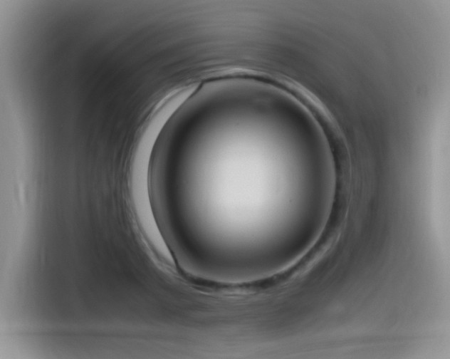 X0000115560793200911061552
