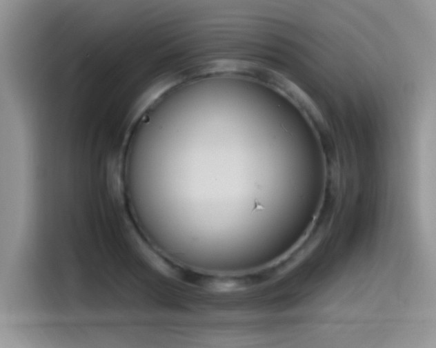 X0000115560794200911061552