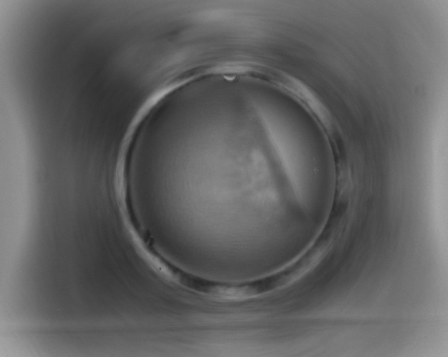 X0000115560795200911061552