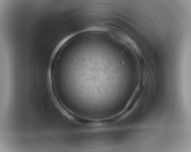 X0000115560796200911061552