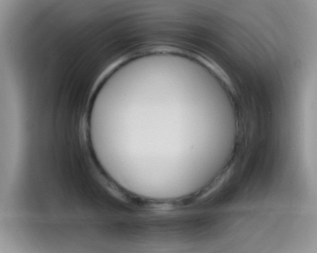 X0000115560798200911061552