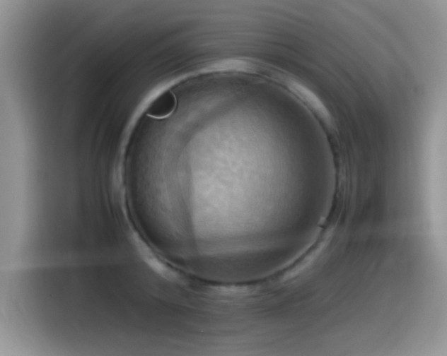 X0000115560800200911061552