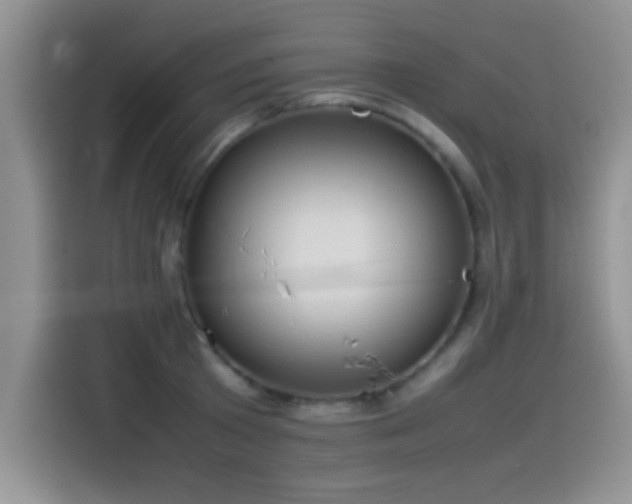 X0000115560801200911061552