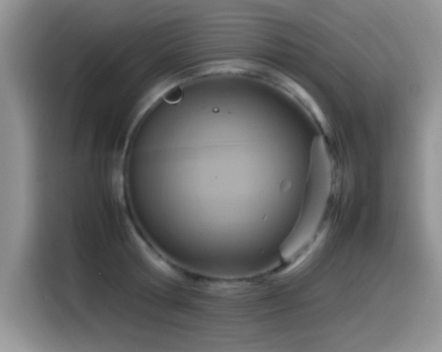 X0000115560802200911061552