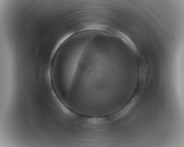 X0000115560804200911061552