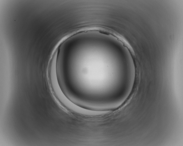 X0000115560805200911061552