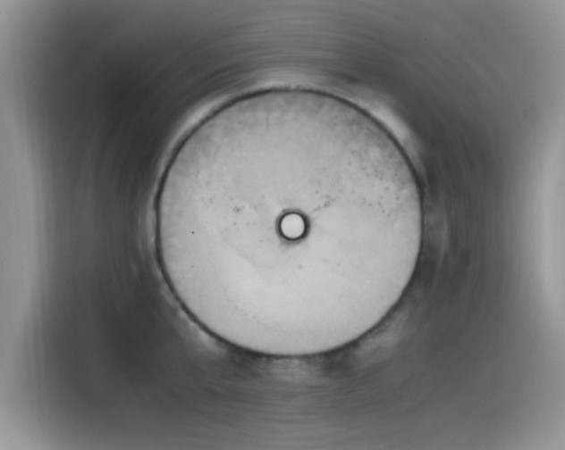 X0000115560807200911061552