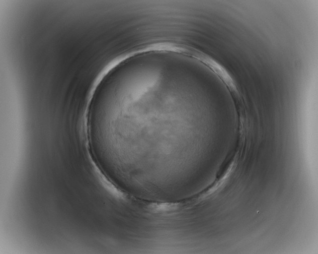 X0000115560808200911061552