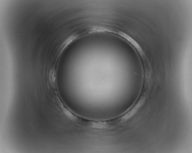 X0000115560809200911061552