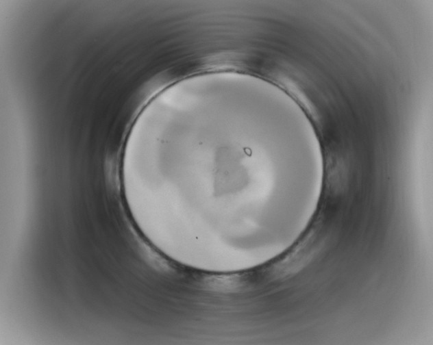X0000115560810200911061552