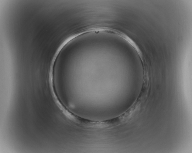 X0000115560811200911061552