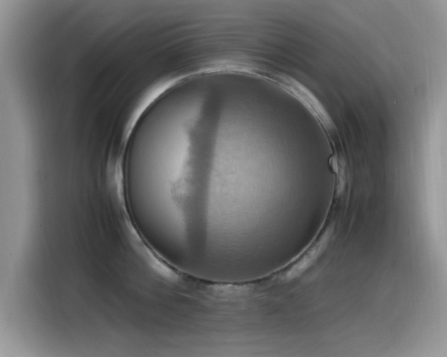 X0000115560812200911061552