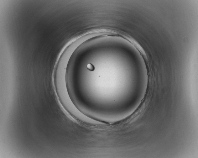 X0000115560813200911061552