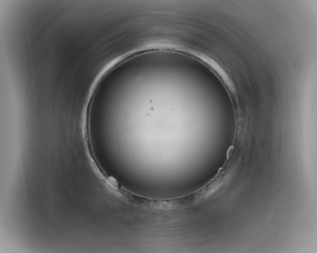 X0000115560815200911061552