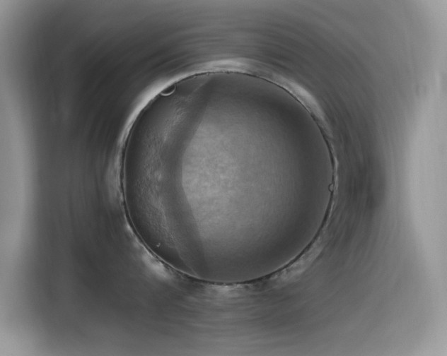 X0000115560816200911061552