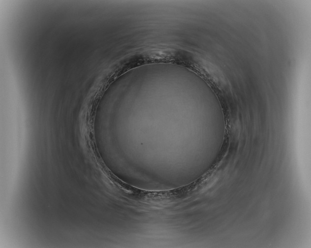 X0000115560817200911061551