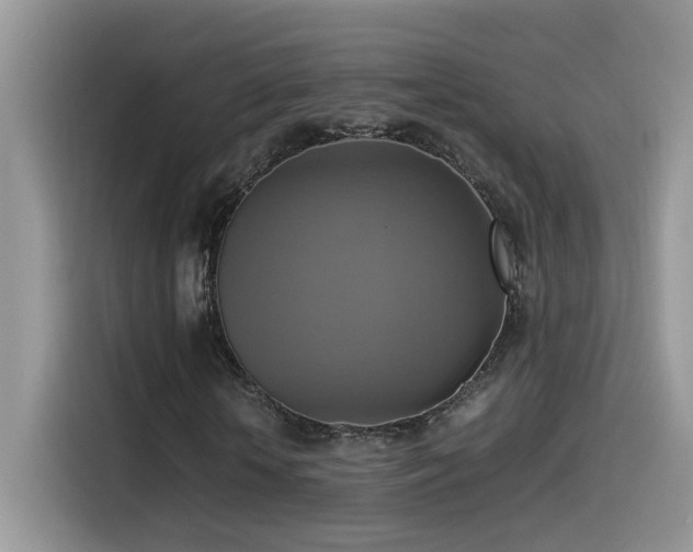 X0000115560818200911061551
