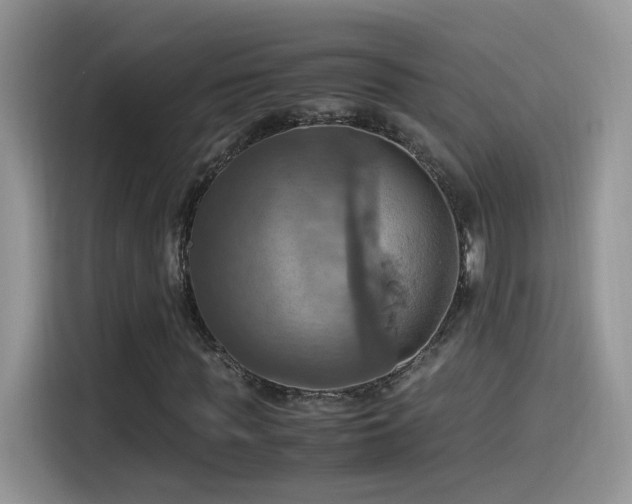 X0000115560819200911061551