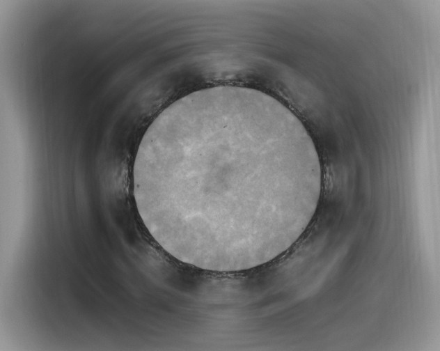 X0000115560820200911061551
