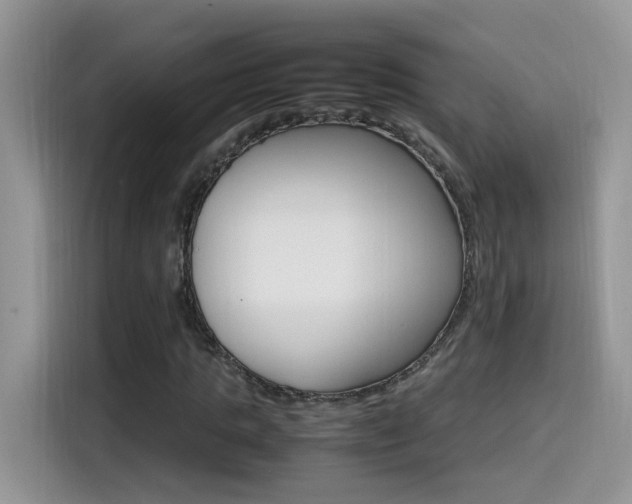 X0000115560821200911061551