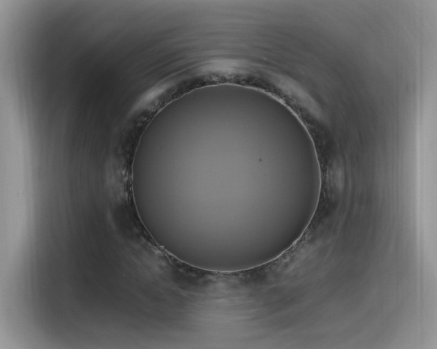 X0000115560822200911061551