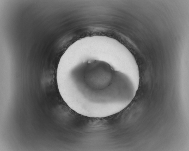 X0000115560824200911061551