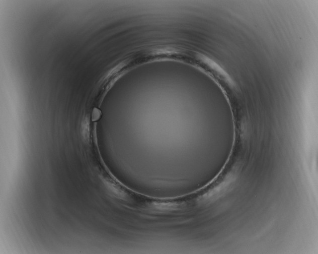 X0000115560825200911061551
