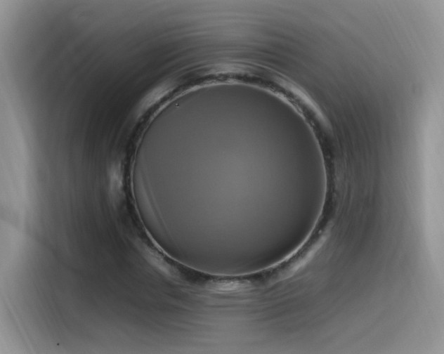X0000115560826200911061551