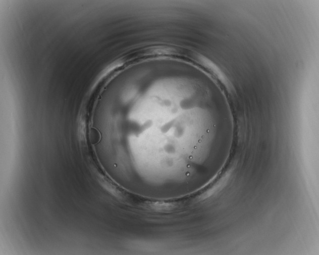 X0000115560827200911061551