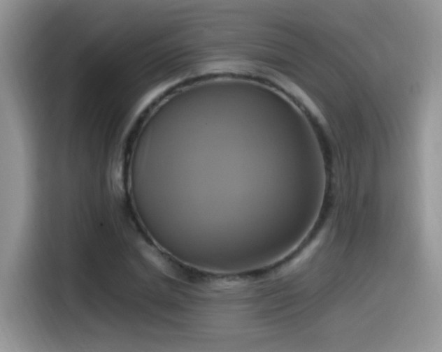 X0000115560830200911061551