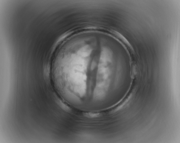 X0000115560831200911061551