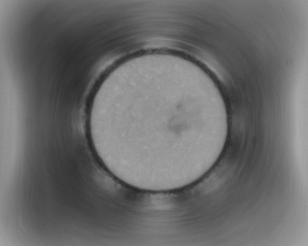 X0000115560832200911061551