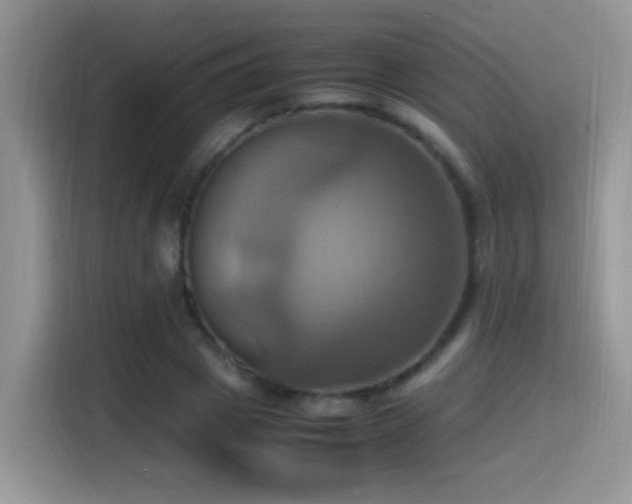 X0000115560833200911061551