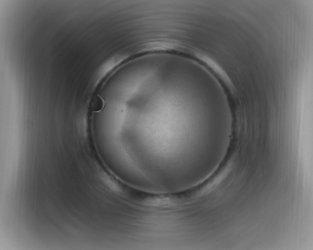 X0000115560834200911061551