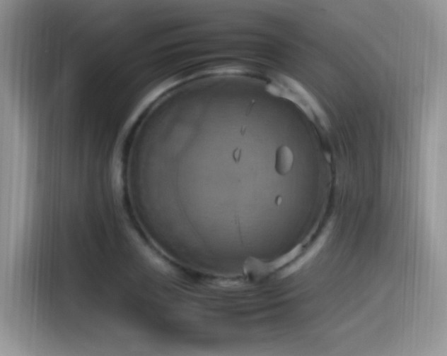 X0000115560835200911061551