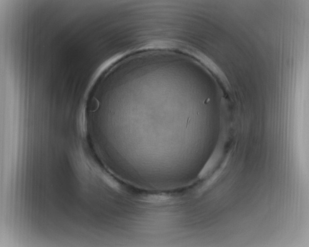 X0000115560838200911061551