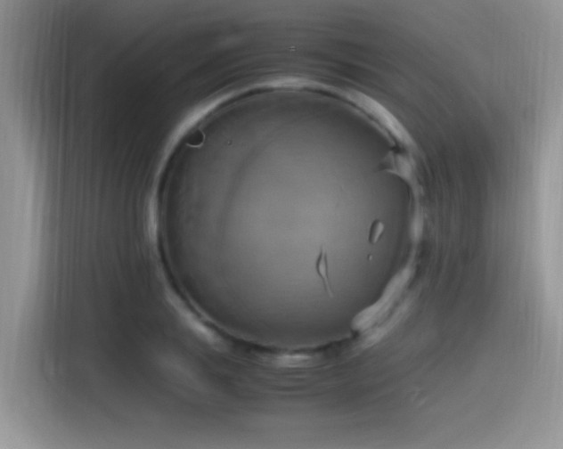 X0000115560839200911061551