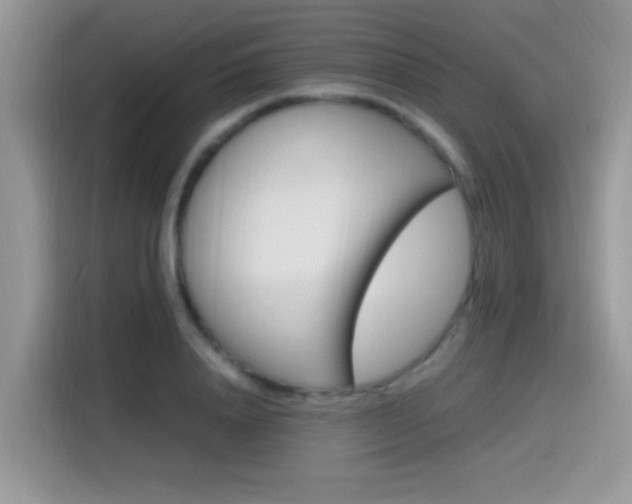 X0000115560840200911061551
