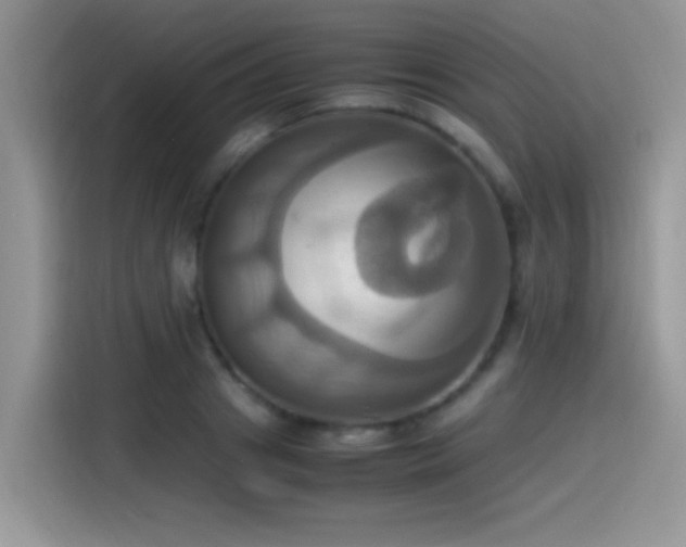 X0000115560841200911061551