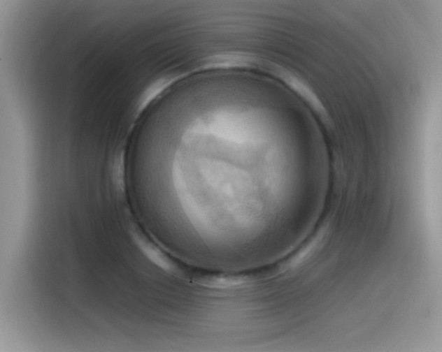 X0000115560842200911061551