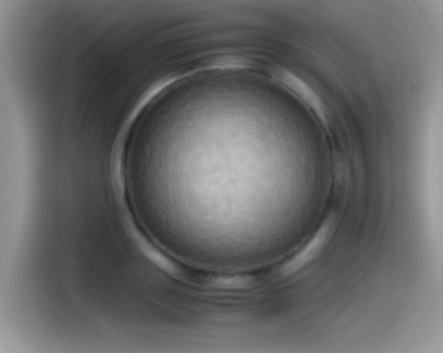 X0000115560843200911061551