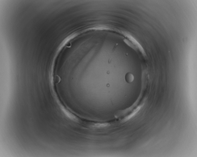 X0000115560845200911061551