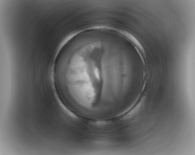 X0000115560847200911061551