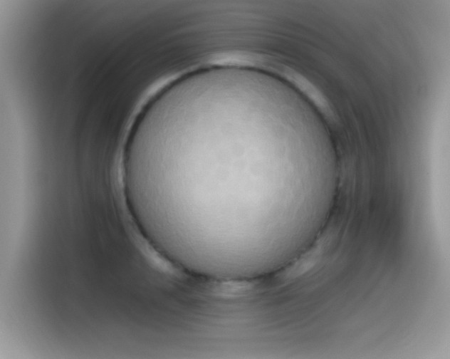 X0000115560848200911061551