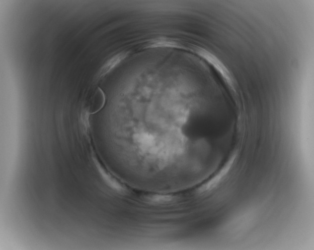 X0000115560849200911061551