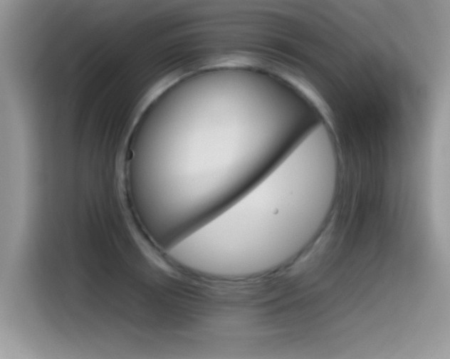 X0000115560850200911061551